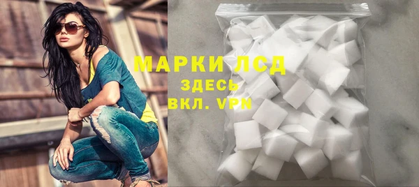 хмурый Арсеньев