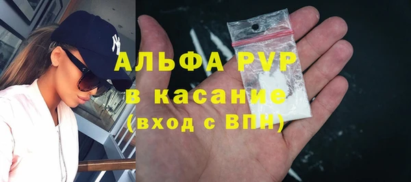 хмурый Арсеньев