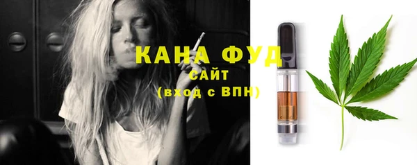хмурый Арсеньев
