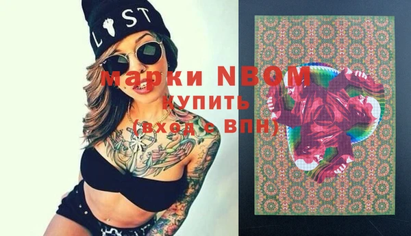хмурый Арсеньев