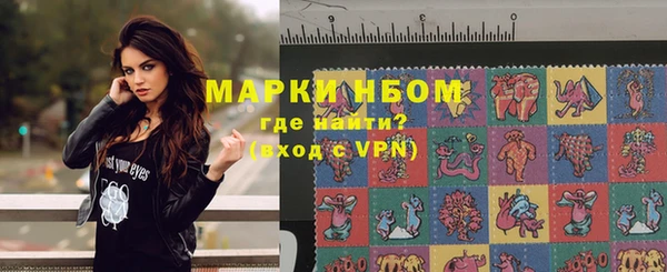 хмурый Арсеньев