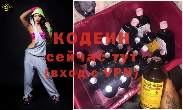 хмурый Арсеньев