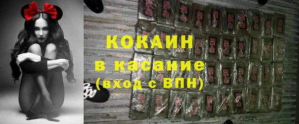 хмурый Арсеньев