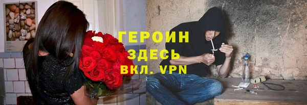 хмурый Арсеньев
