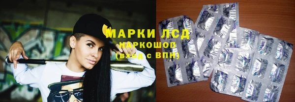 хмурый Арсеньев