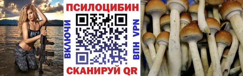 hydra ССЫЛКА  купить закладку  Лосино-Петровский  Псилоцибиновые грибы ЛСД 